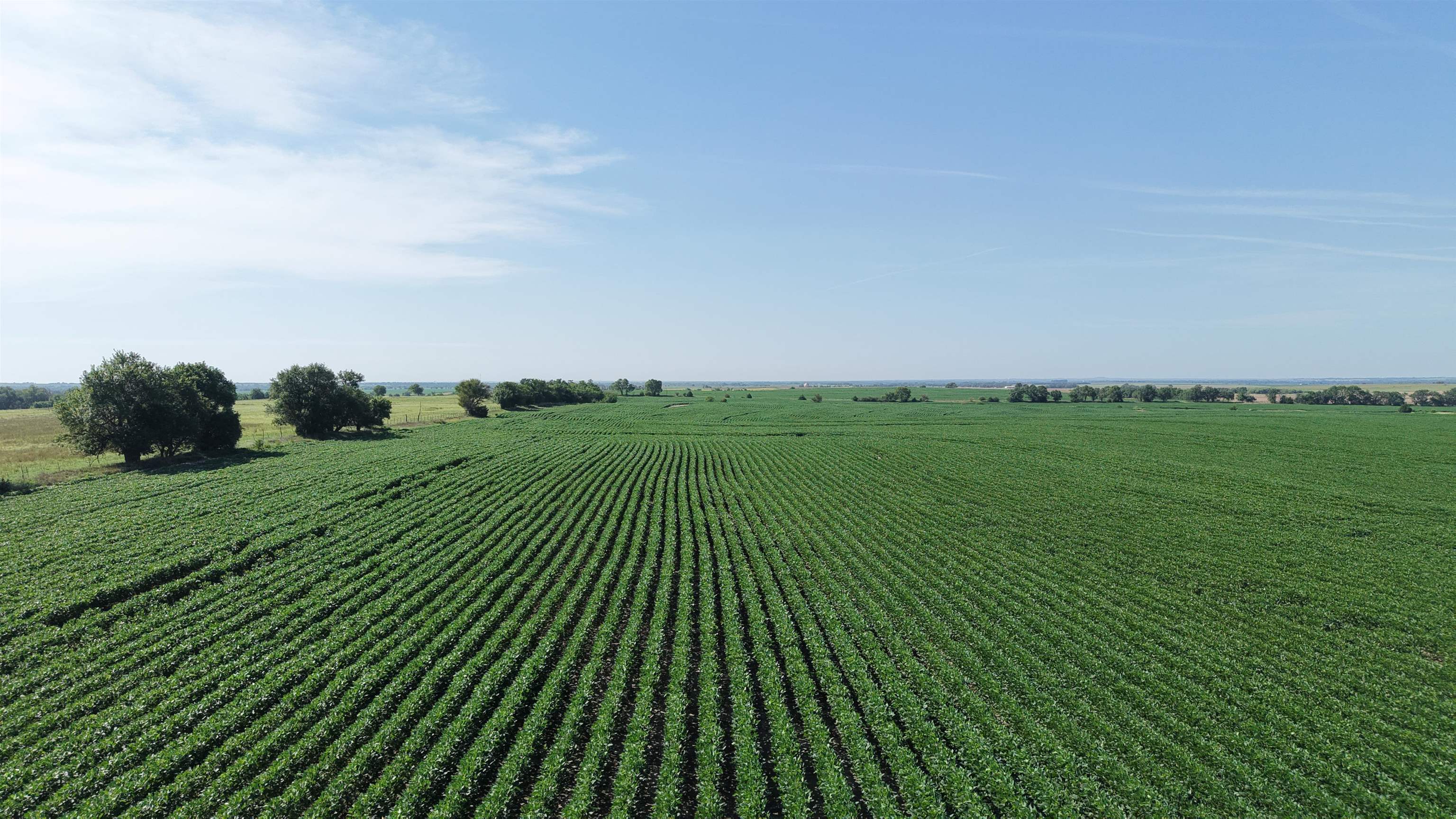 00000 Dove Road, Solomon, KS, 67480